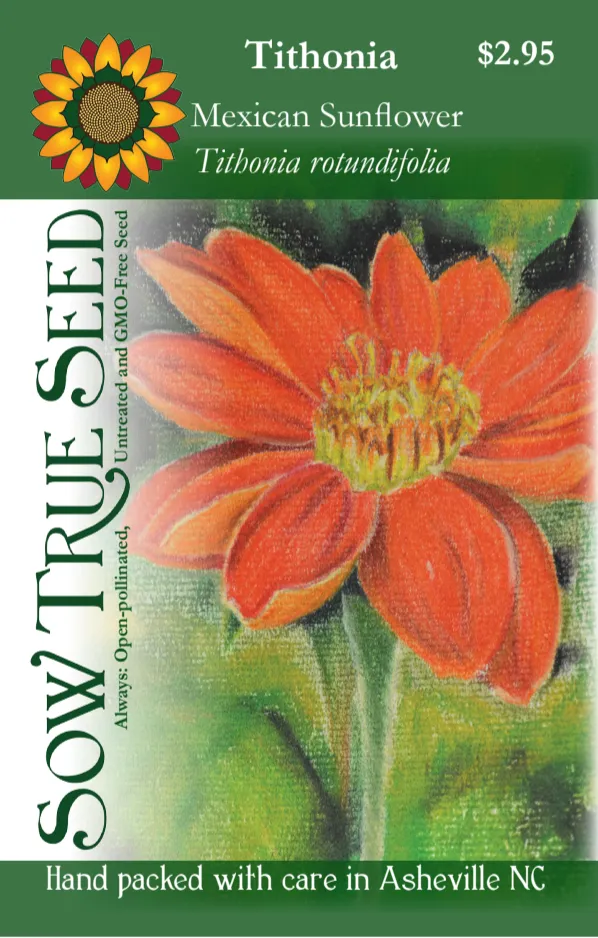 Tithonia Seeds - Mexican Sunflower